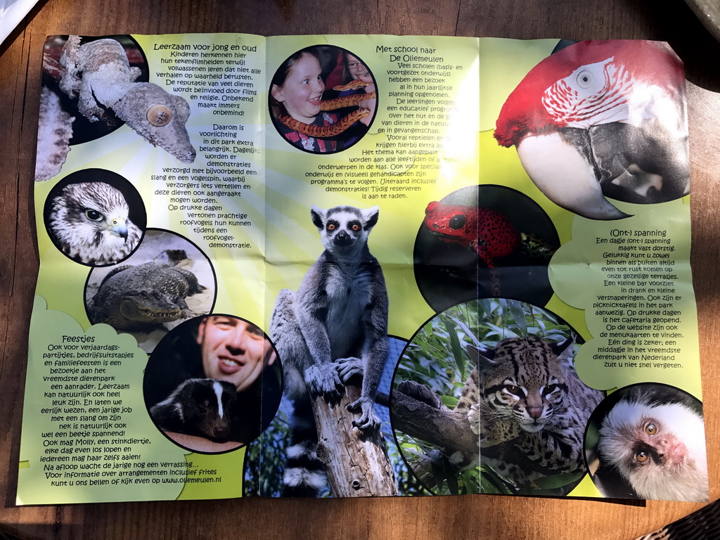 Flyer with information on the Dierenpark De Oliemeulen zoo