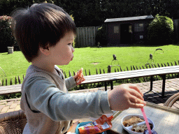 Max having lunch at the Dierenpark De Oliemeulen zoo