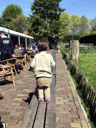 Max walking on a bench at the Dierenpark De Oliemeulen zoo