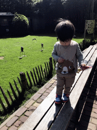 Max walking on a bench at the Dierenpark De Oliemeulen zoo