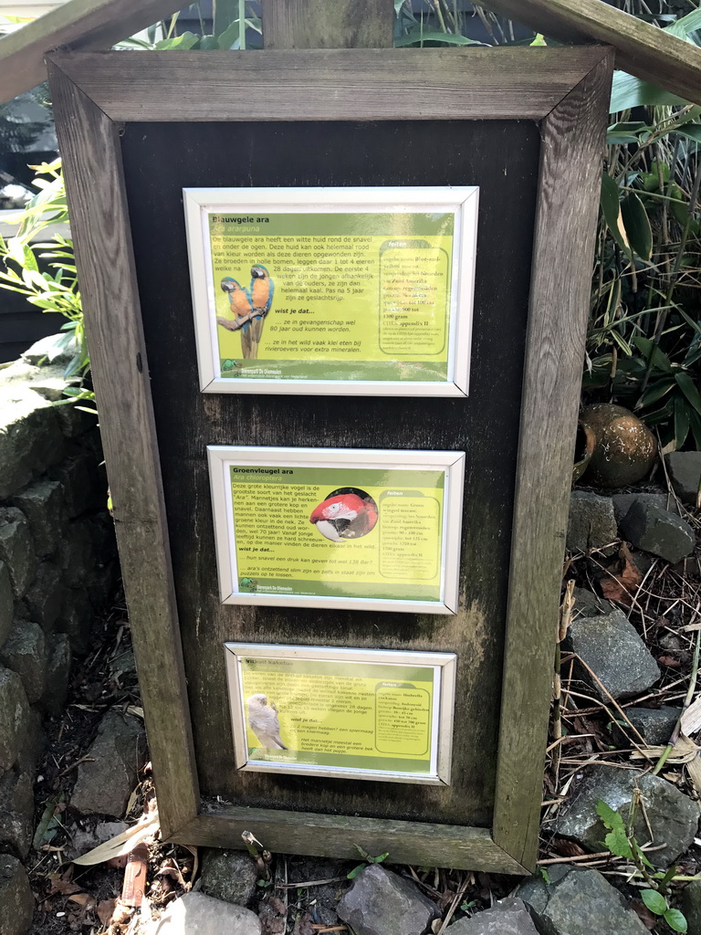 Explanation on the Blue-and-yellow Macaw, Red-and-green Macaw and White Cockatoo at the Dierenpark De Oliemeulen zoo