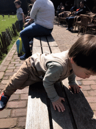 Max on a bench during the Birds of Prey Show at the Dierenpark De Oliemeulen zoo