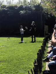 Zookeeper and child with a Barn Owl during the Birds of Prey Show at the Dierenpark De Oliemeulen zoo