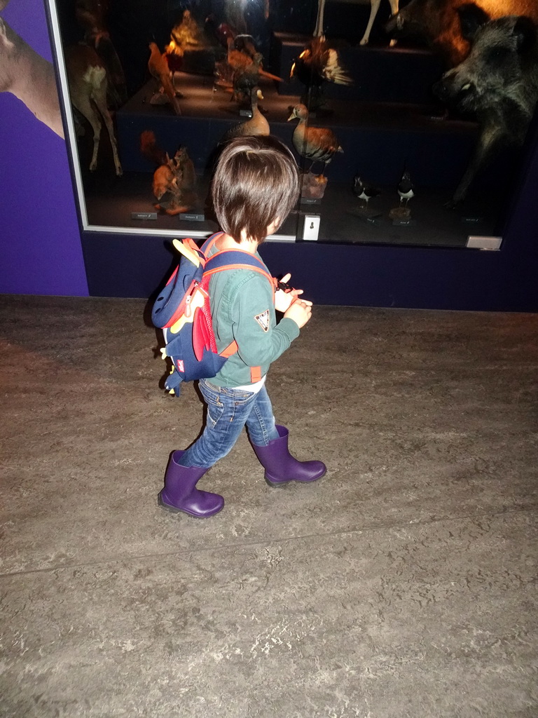 Max at the `Hoezo Seks?` exhibition at the second floor of the Natuurmuseum Brabant