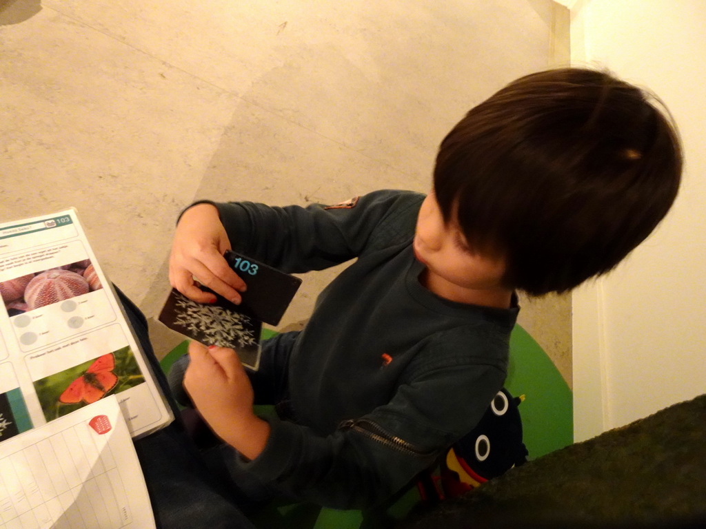 Max doing the scavenger hunt of the `Hoezo Seks?` exhibition at the second floor of the Natuurmuseum Brabant
