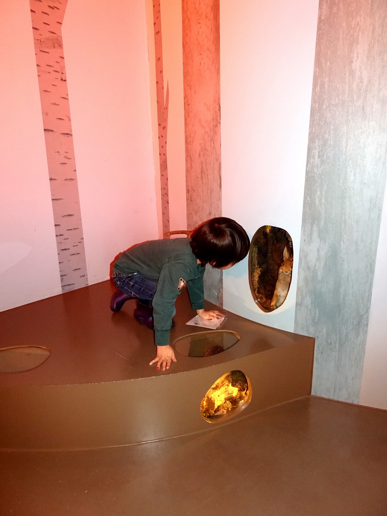 Max with a stuffed Rabbit at the `Beleef Ontdek Samen: BOS` exhibition at the second floor of the Natuurmuseum Brabant