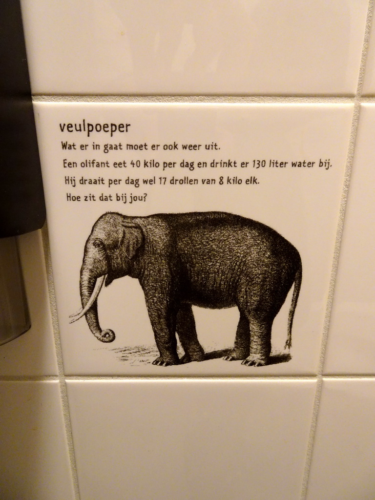Information on Elephant poop at the toilet at the second floor of the Natuurmuseum Brabant
