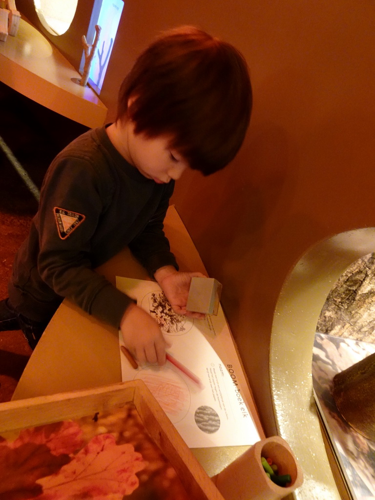 Max with a coloring page at the `Beleef Ontdek Samen: BOS` exhibition at the second floor of the Natuurmuseum Brabant