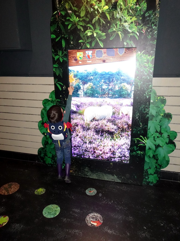 Max playing a game at the OO-zone at the ground floor of the Natuurmuseum Brabant