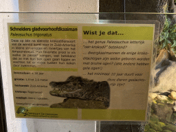 Explanation on the Smooth-fronted Caiman at the Ground Floor of the main building of the Dierenpark De Oliemeulen zoo