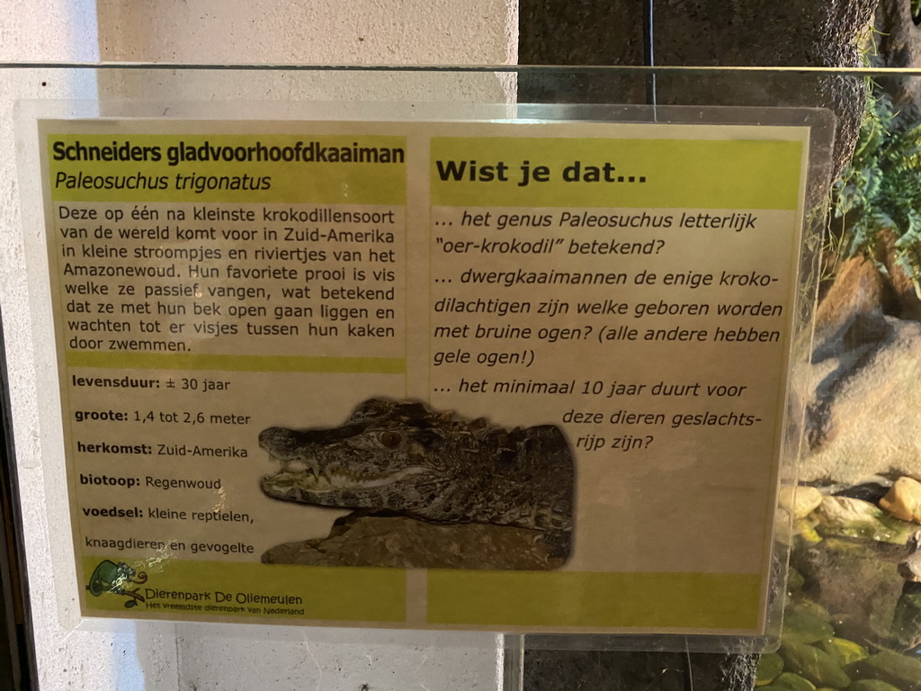 Explanation on the Smooth-fronted Caiman at the Ground Floor of the main building of the Dierenpark De Oliemeulen zoo