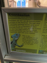 Explanation on the Plumed Basilisk at the Ground Floor of the main building of the Dierenpark De Oliemeulen zoo