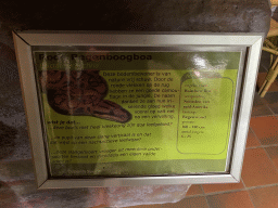 Explanation on the Rainbow Boa at the Ground Floor of the main building of the Dierenpark De Oliemeulen zoo
