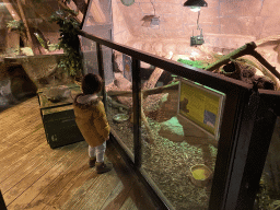 Max with the Rhinoceros Iguanas at the Upper Floor of the main building of the Dierenpark De Oliemeulen zoo