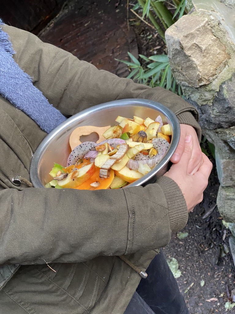 Zookeeper with food for the Porcupines at the Dierenpark De Oliemeulen zoo