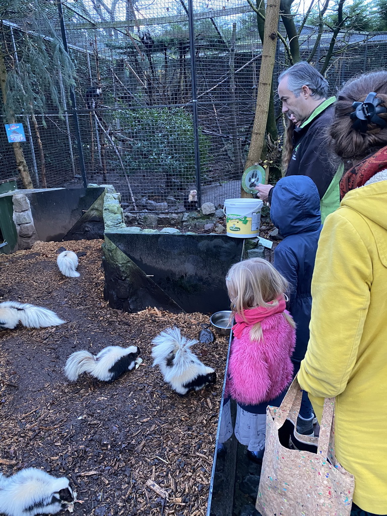 Zookeeper feeding the Porcupines at the Dierenpark De Oliemeulen zoo