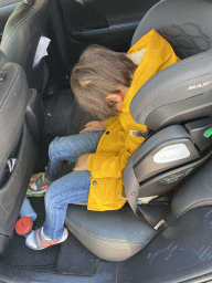 Max sleeping in the car at the Petrus Canisiusstraat street
