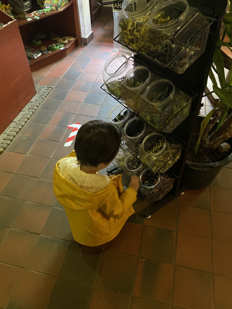 Max at the souvenir shop at the Ground Floor of the main building of the Dierenpark De Oliemeulen zoo