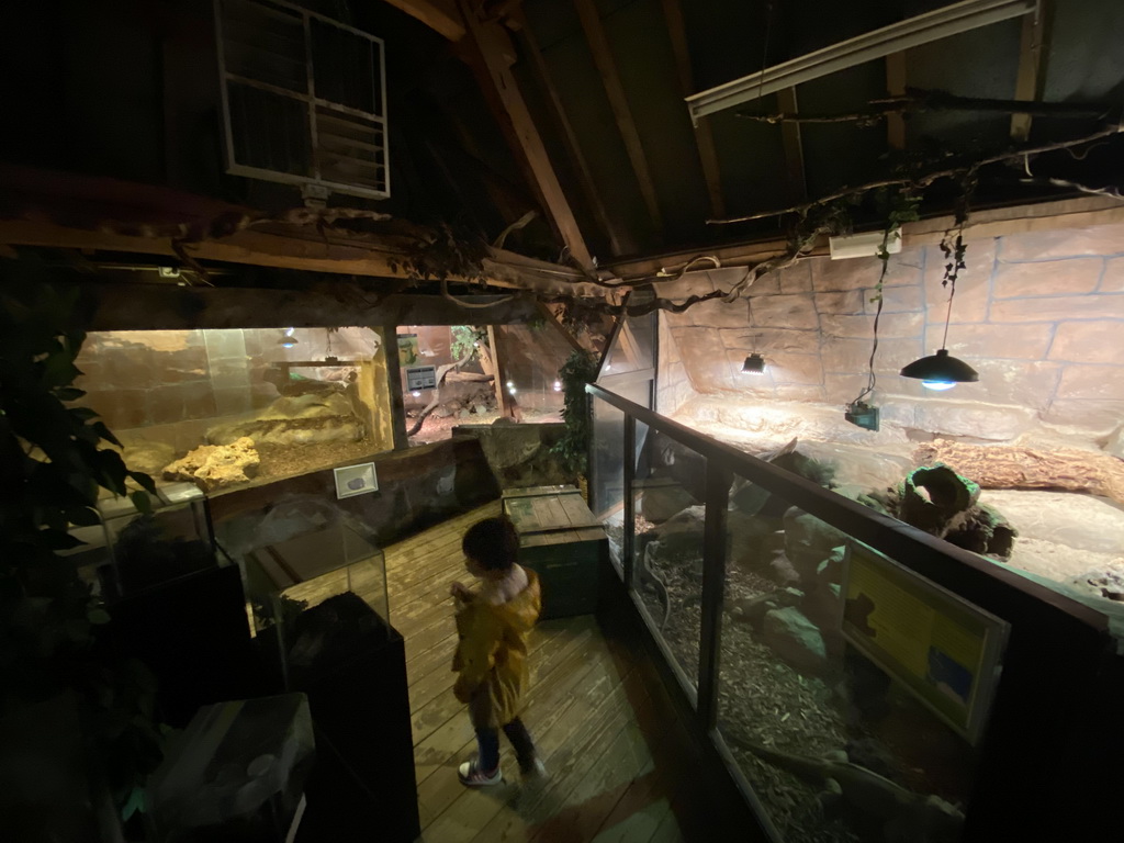 Max at the Upper Floor of the main building of the Dierenpark De Oliemeulen zoo