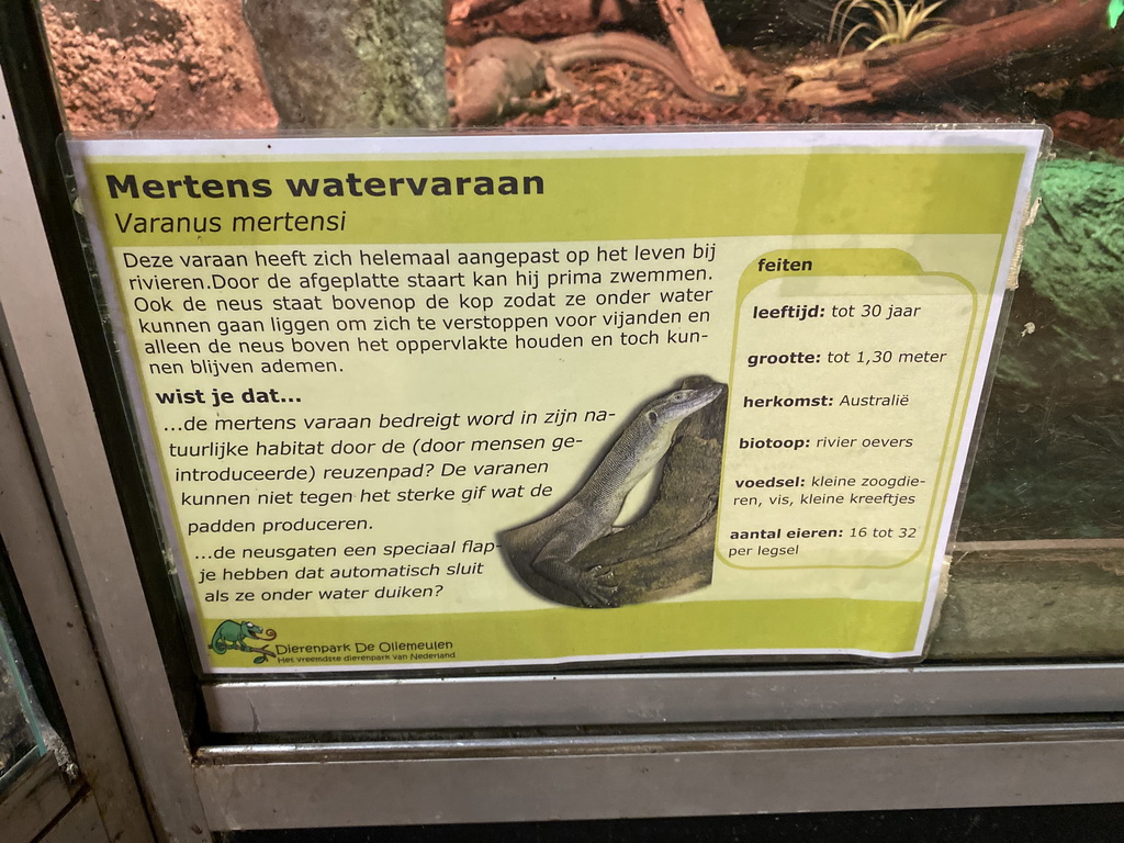 Explanation on the Mertens` Water Monitor at the Upper floor of the main building of the Dierenpark De Oliemeulen zoo