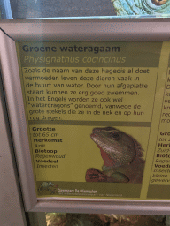 Explanation on the Chinese Water Dragon at the Ground Floor of the main building of the Dierenpark De Oliemeulen zoo