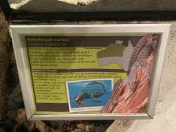 Explanation on the Spiny-tailed Monitor at the Ground Floor of the main building of the Dierenpark De Oliemeulen zoo