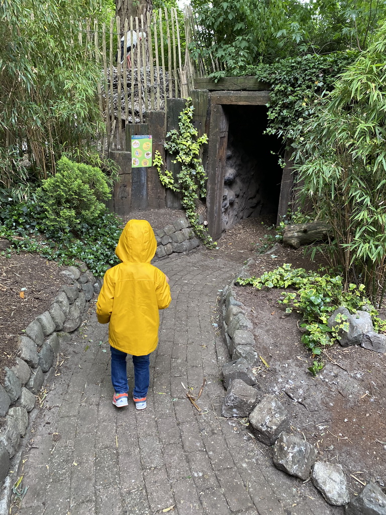 Max on a path at the Dierenpark De Oliemeulen zoo