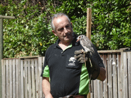 Zookeeper and Northern White-faced Owl during the Birds of Prey Show at the Dierenpark De Oliemeulen zoo