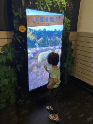 Max with an interactive screen at the OO-zone at the ground floor of the Natuurmuseum Brabant