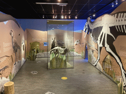 Interior of the `Vreemde vogels, die dino`s` exhibition at the second floor of the Natuurmuseum Brabant