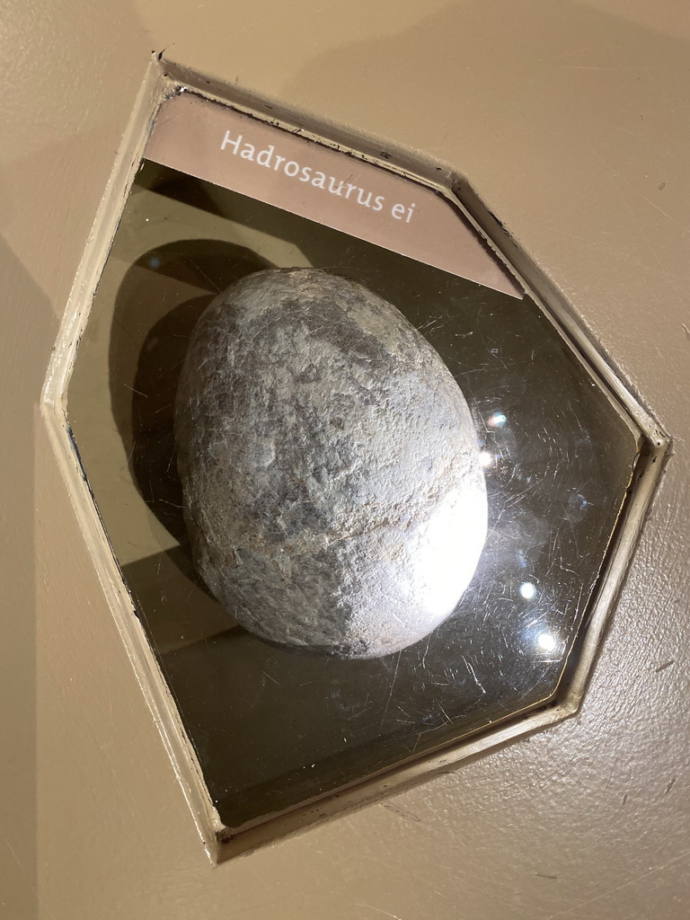 Statue of an Hadrosaur egg at the `Vreemde vogels, die dino`s` exhibition at the second floor of the Natuurmuseum Brabant, with explanation