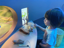 Max playing a cricket game at the `Beleef Ontdek Samen: BOS` exhibition at the second floor of the Natuurmuseum Brabant