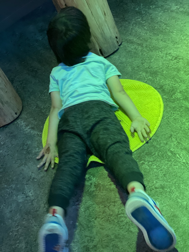 Max playing a dragonfly game at the `Beleef Ontdek Samen: BOS` exhibition at the second floor of the Natuurmuseum Brabant