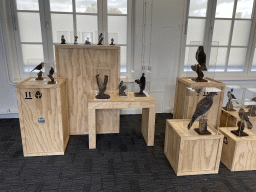 Stuffed birds at the temporary room at the first floor of the Natuurmuseum Brabant