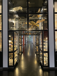 The OO-zone at the ground floor of the Natuurmuseum Brabant