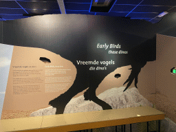 Information on the `Vreemde vogels, die dino`s` exhibition at the second floor of the Natuurmuseum Brabant