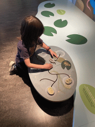 Max doing the frog puzzle at the `Kikker is hier!` exhibition at the second floor of the Natuurmuseum Brabant