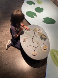Max doing the frog puzzle at the `Kikker is hier!` exhibition at the second floor of the Natuurmuseum Brabant