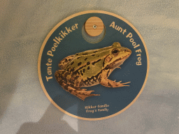 Information on `Aunt Pool Frog` in the home of Kikker at the `Kikker is hier!` exhibition at the second floor of the Natuurmuseum Brabant