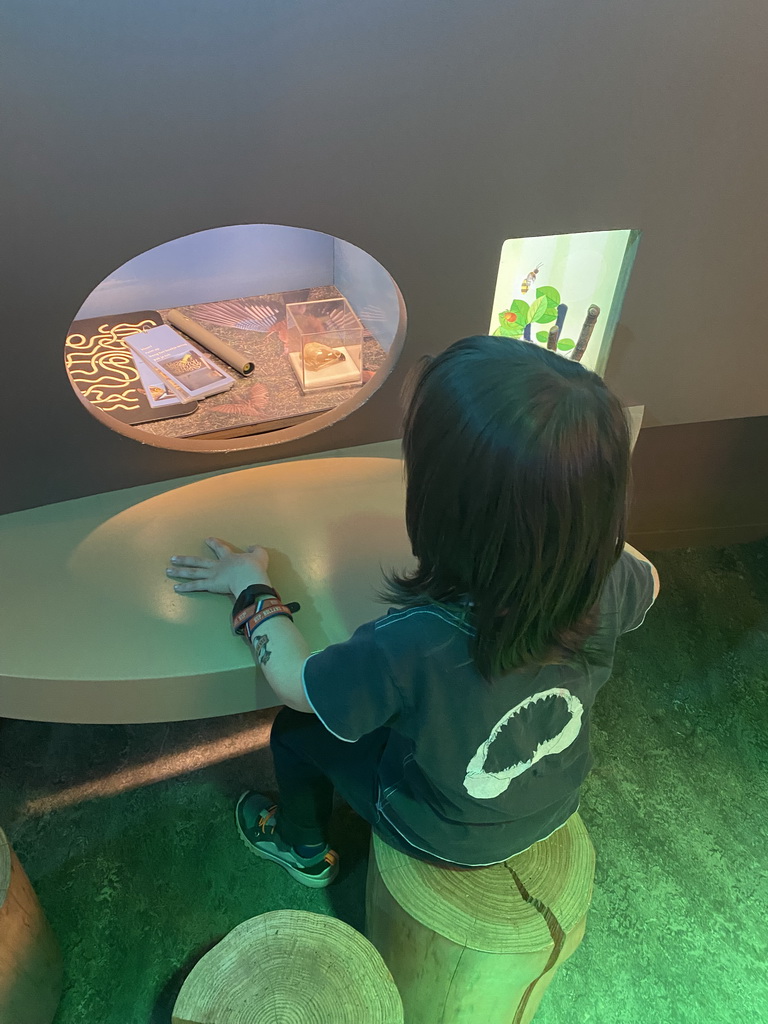 Max playing a game at the `Beleef Ontdek Samen: BOS` exhibition at the second floor of the Natuurmuseum Brabant