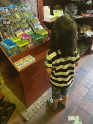 Max at the souvenir shop at the Ground Floor of the main building of the Dierenpark De Oliemeulen zoo