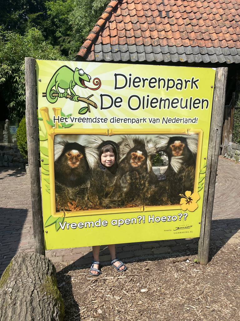 Max with a poster of Cotton-top Tamarins at the Dierenpark De Oliemeulen zoo