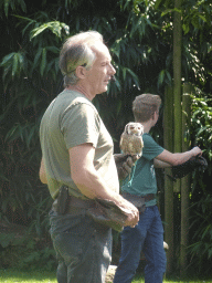 Zookeepers with a Tawny Owl during the Birds of Prey Show at the Dierenpark De Oliemeulen zoo