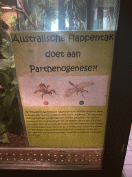 Explanation on the Australian Walking Stick at the Ground Floor of the main building of the Dierenpark De Oliemeulen zoo