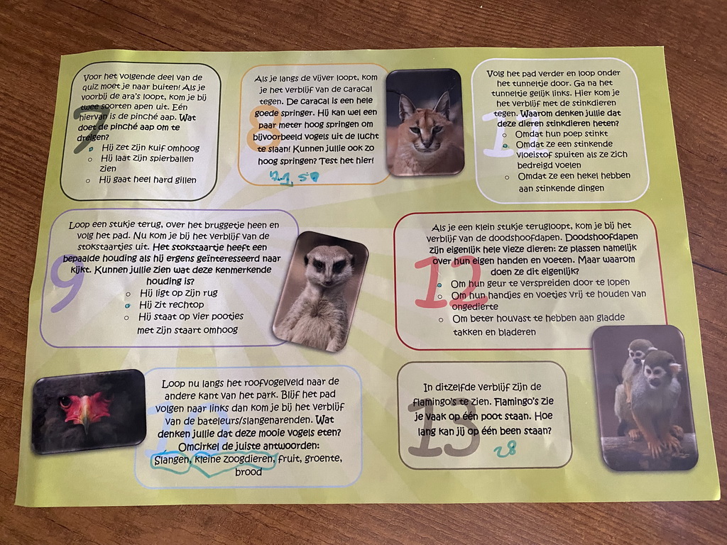 Questions and answers of the scavenger hunt at the Dierenpark De Oliemeulen zoo