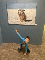 Max with a photograph of a Raccoon at the `Comedy Wildlife` exhibition at the second floor of the Natuurmuseum Brabant, with explanation