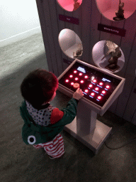 Max with stuffed birds at the `Van hot naar her` exhibition at the second floor of the Natuurmuseum Brabant