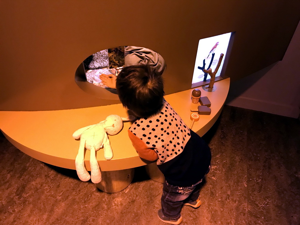 Max at the `Beleef Ontdek Samen: BOS` exhibition at the second floor of the Natuurmuseum Brabant