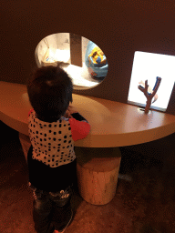 Max at the `Beleef Ontdek Samen: BOS` exhibition at the second floor of the Natuurmuseum Brabant