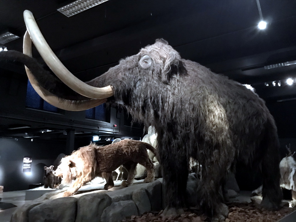 Wax statues of a Mammoth and a Saber-toothed Tiger at the `IJstijd!` exhibition at the ground floor of the Natuurmuseum Brabant